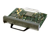 Cisco VPN Acceleration Module 2+ - Kryptoaccelerator - insticksmodul - för Cisco 7204, 7206, 7206VXR SA-VAM2+=