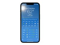 Apple iPhone 13 - 5G smartphone - dual-SIM / Internminne 256 GB - OLED-skärm - 6.1" - 2532 x 1170 pixlar - 2 bakre kameror 12 MP, 12 MP - front camera 12 MP - grön MNGL3QN/A