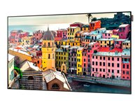 Samsung UE46D - 46" Diagonal klass UE-D Series LED-bakgrundsbelyst LCD-skärm - digital skyltning - 1080p 1920 x 1080 LH46UEDPLGC/EN